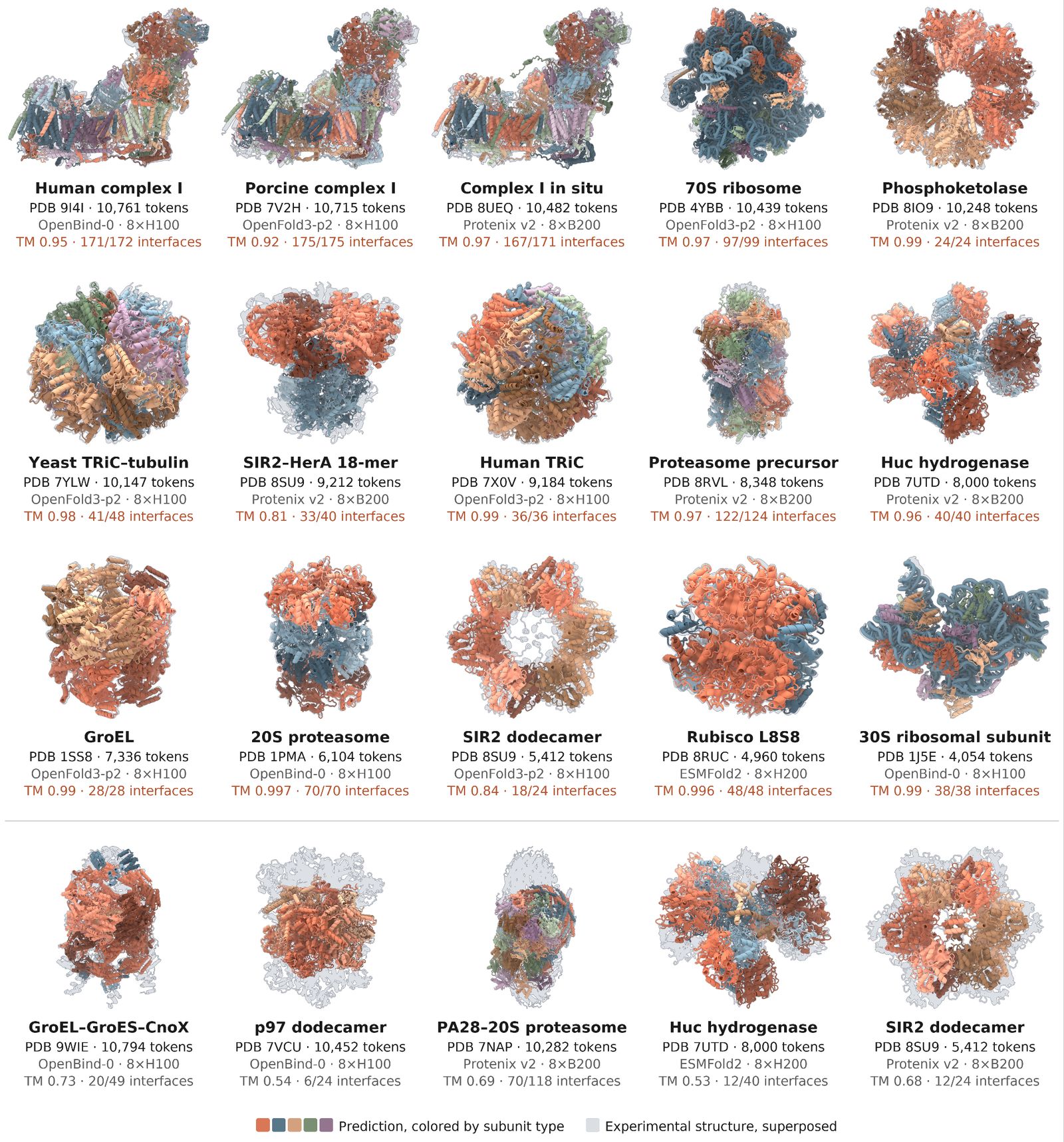 Image of large molecular complexes created by Claude's "big" mode