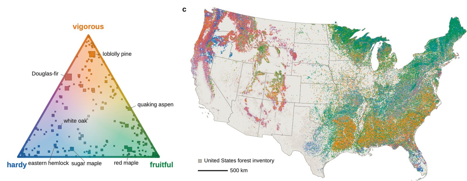 Graph of every forest inventory in the US color-coded by life history strategy